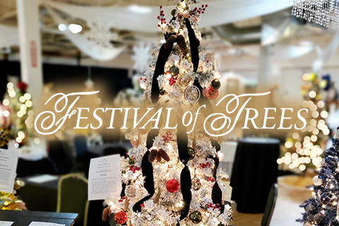 Photo of decorated trees with lights